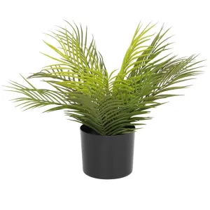 Faux Mini Palm Plant